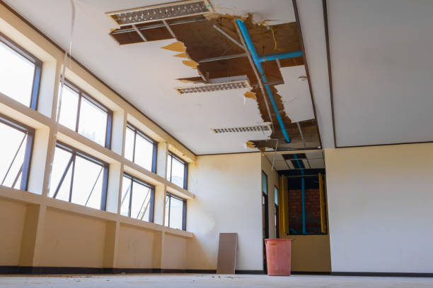 Best Local water damage restoration  in Soh Ogden, UT