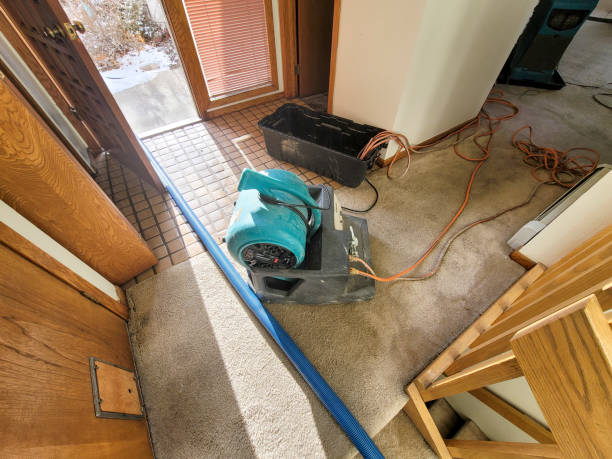 Best Fire Damage Restoration  in Soh Ogden, UT