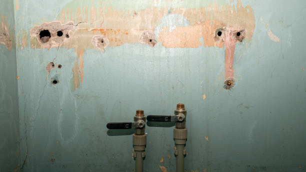 Best Water damage contractors near me  in Soh Ogden, UT