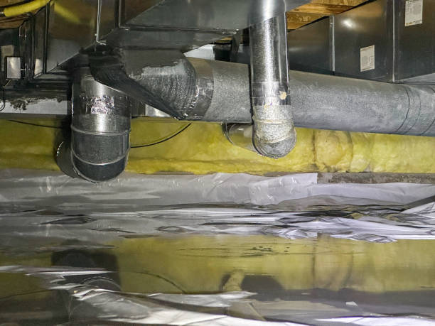 Best Carpet water damage restoration  in Soh Ogden, UT