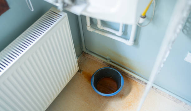 Best Water damage cleanup near me  in Soh Ogden, UT