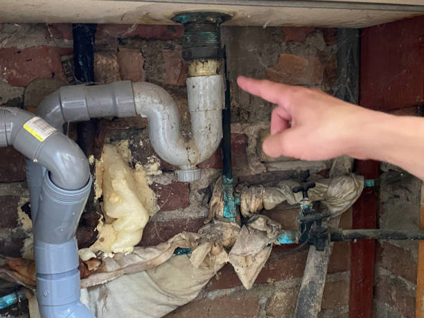 Best Flood restoration services  in Soh Ogden, UT