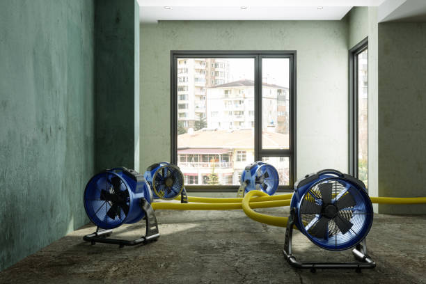 Best Commercial water damage restoration  in Soh Ogden, UT