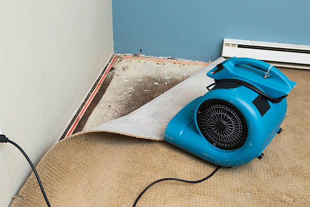 Trusted UT Water damage restoration Experts